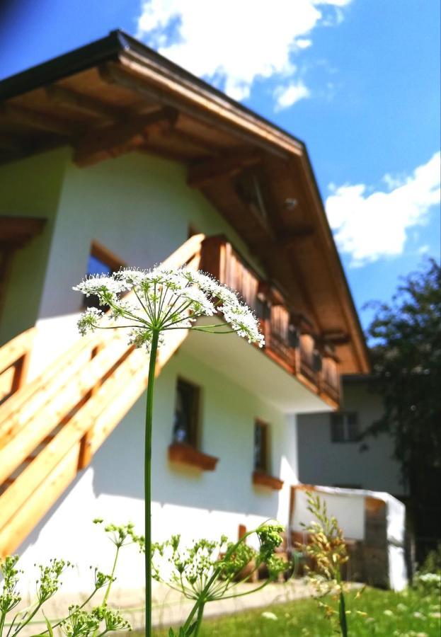 Ferienwohnung Auenheim Innervillgraten Dış mekan fotoğraf